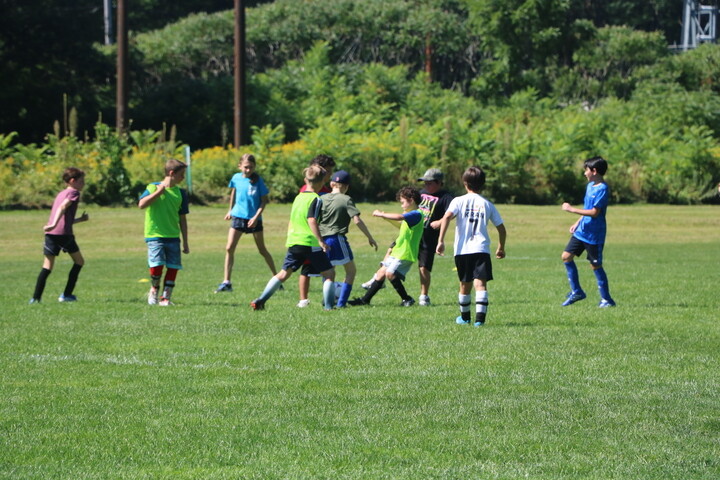 Young Hornets Soccer Clinics